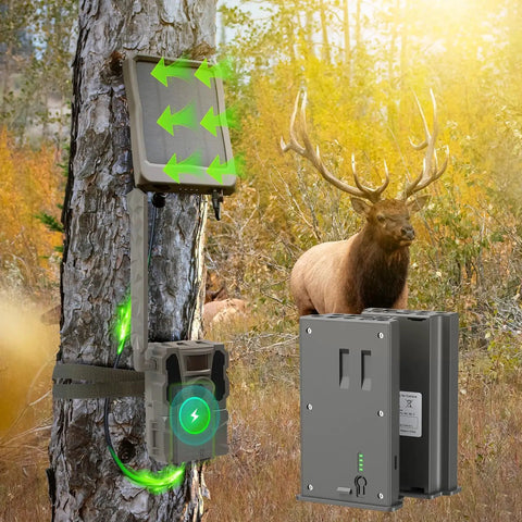 Rechargeable Lithium Cell Pack For Reveal Trail Cameras Ultra X X Pro Pro 30 Generations with power light in natural setting.