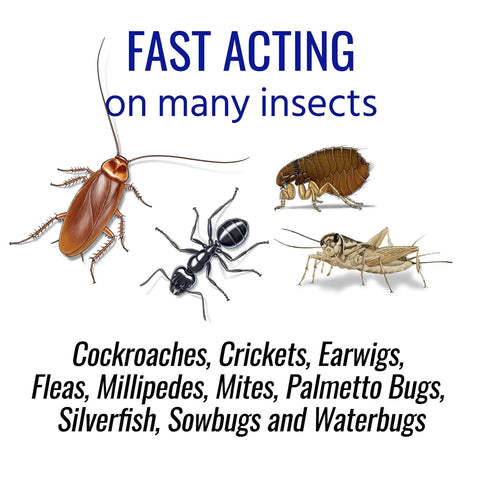 Ant Killer Plus Insect Control 3 Lb Bags Two Pack illustration with insects like cockroaches, ants, fleas, and fast acting label.