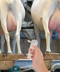 Goat Milking Cup Spare Part For Sheep And Goats White Plastic Milking Cup For Mobile Use On Busy Farms Easy Cleaning Efficient Suction And Milk Flow Dairy Farm Milking Equipment Replacement Part, held by hand