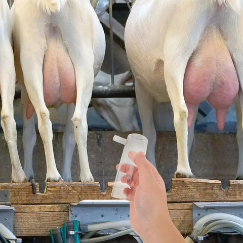 Goat Milking Cup Spare Part For Sheep And Goats White Plastic Milking Cup For Mobile Use On Busy Farms Easy Cleaning Efficient Suction And Milk Flow Dairy Farm Milking Equipment Replacement Part, held by hand