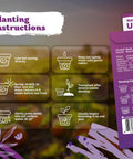 Planting instructions for Top Shelf 10000 Black Eyed Susan Heirloom Flower Seeds For Planting Solid Gold Yellow Daisy.