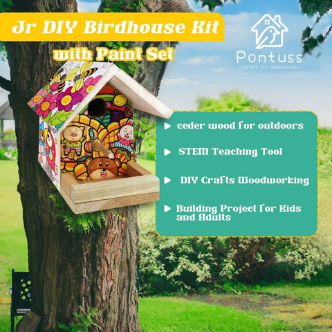 Fun DIY Birdhouse Kit With Paint Set For Kids And Adults on tree, colorful painted cedar wood birdhouse with STEM learning tools