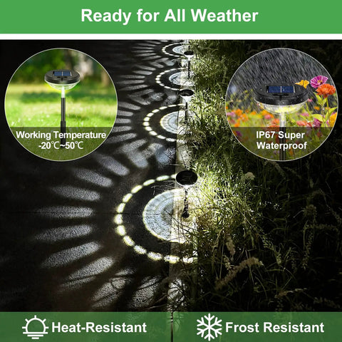 Eight Pack Solar Pathway Lights Outdoor LED Garden Lighting showing waterproof design and lighting on a walkway at night.