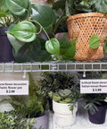 Home Run Plastic Shelf Tags With Zero Hassle Snap Hooks And Ready Paper Cards For Heavy Duty Wire Baskets To Show Price Points and labels for artificial flower pots.