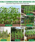 U Shaped Metal Garden Trellis For Climbing Cucumbers And Vines, variety of configurations with sturdy frames and plants climbing.