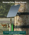 Hella Fast 6W Solar Panel For Wildlife Trail Cameras mounted on a tree, providing solar power to a trail camera.