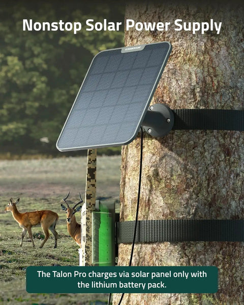 Hella Fast 6W Solar Panel For Wildlife Trail Cameras mounted on a tree, providing solar power to a trail camera.