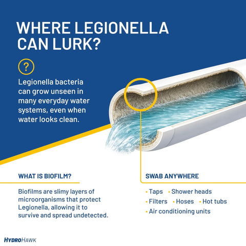 Diagram of water flow showing where Legionella can lurk with labeled areas for swabbing using No Sweat Legionella Water Outlet Swab Test Kit With Sterile Swab And Buffer Vial For Quick Sink And Shower Safety Tests No Lab Skills Required Straightforward Pictures Deliver Dead Reliable Results Fast.