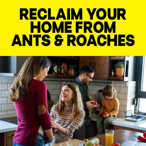 Family in kitchen, reclaim your home from ants & roaches, Ant And Roach Killer Spray For Home Use Fragrance Free 17.5 Oz 2 Count.