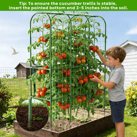Child interacting with U Shaped Garden Cucumber Trellis For Raised Beds A Sturdy 62 Inch Tall Metal Plant Support in garden