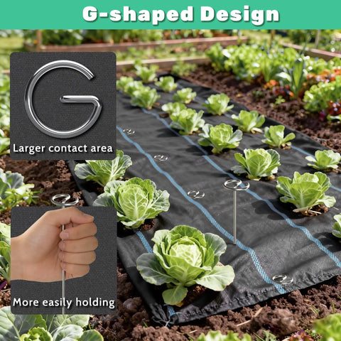 12 Inch 8 Gauge Circle Top Landscape Fabric Staples Galvanized Steel Garden Pins installed in garden with weed barrier