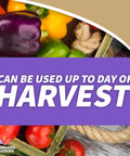 Colorful bell peppers and tomatoes with text stating can be used up to day of harvest in organic gardening context.