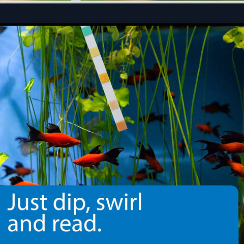 Quick Dip Five In One Aquarium Water Test Strips For Freshwater And Saltwater Tanks testing in a vibrant fish tank with plants.