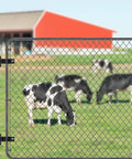 Heavy Duty Gate Hinges For Chain Link Fences Tough As Nails Carbon Steel With Electroplated Rust Resistant Finish Fits 2 3 8 Inch Posts For Farm Yard Gates Real Deal Installation Two Pack Black on a gate with grazing cows.