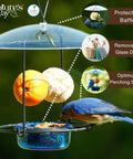 Bluebird Buffet Metal Bird Feeder With Protective Baffle For Outdoor Decor Glass Dish Holds Three Quarters Cup Capacity