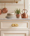 Heavy Duty Zinc Alloy Cabinet Knobs 2 Pack With Solid Backplate Hella Sturdy Drawer Pulls For Kitchen Cupboard And Dresser Hardware Slick Champagne Bronze Finish on a modern kitchen cabinet.