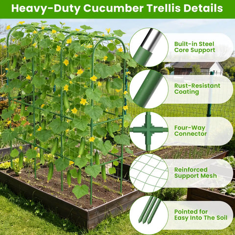 U Shaped Garden Cucumber Trellis For Raised Beds A Sturdy 62 Inch Tall Metal Plant Support with features detailed