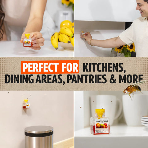 Indoor Fruit Fly Trap Killer Station With Natural Liquid Bait For Kitchen Counters Trash Cans And Pantry Food Fast Acting Pest Control That Works Like A Dream Total Game Changer Four Pack Bundle, shown in various home settings.