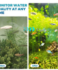 Before and after image of a fish tank demonstrating water clarity using Hardcore Aquarium Test Strips 200 Count 9 In 1 Fish Tank Water Testing Kit.