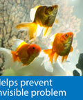 Quick Dip Five In One Aquarium Water Test Strips For Freshwater And Saltwater Tanks Checks PH with goldfish swimming in aquarium.