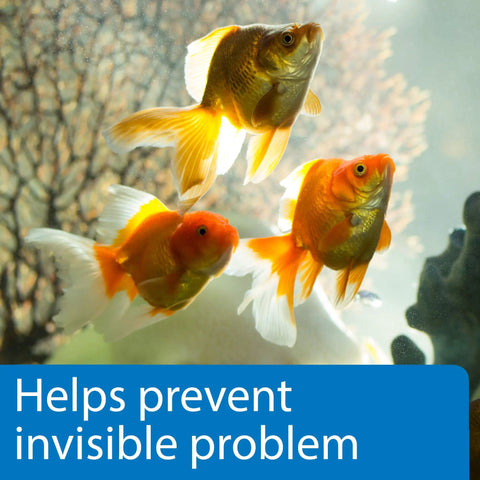 Quick Dip Five In One Aquarium Water Test Strips For Freshwater And Saltwater Tanks Checks PH with goldfish swimming in aquarium.
