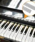 Tough as Nails Heavy Duty 12 Inch Stainless Steel Piano Hinges 4 Pack With 48 Screws shown with a grand piano for scale.