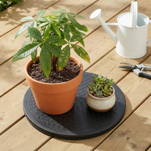 3 Pack 12 Inch Heavy Duty Rotating Swivel Stands That Roll Smooth as Butter With 360 Degree Lazy Susan Spin for Kicking Your Kitchen Cabinet Chaos to the Curb While Keeping Your Space Spick and Span with plants on top