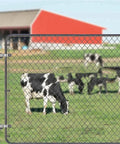 Badass Stainless Steel Gate Hinges 2 Pack Ultra Rigid Wall Mount For Wood And Concrete on a chain link fence at a farm.