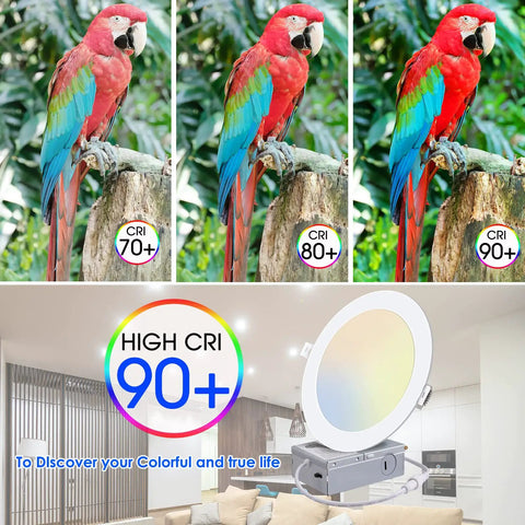 Comparison of parrot under different CRI lighting, with image of 12 Pack 6 Inch Ultra Slim 5CCT LED Recessed Downlights With Junction Box Canless Dimmable 2700K 3000K 3500K 4000K 5000K 15W Equiv 120W 1100 Lumen ETL FCC in living room setting showing high CRI 90+.