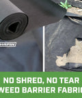 No Nonsense Weed Barrier Landscape Fabric, 70Gsm PP, UV Resistant And Breathable, Medium Duty Weed Control, 3 by 50 ft Roll Black