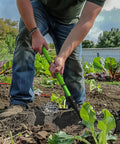 Person using Handy Tiny Garden Rake With Telescoping Handle 27 To 39 Inches Non Slip Grip in a vegetable garden