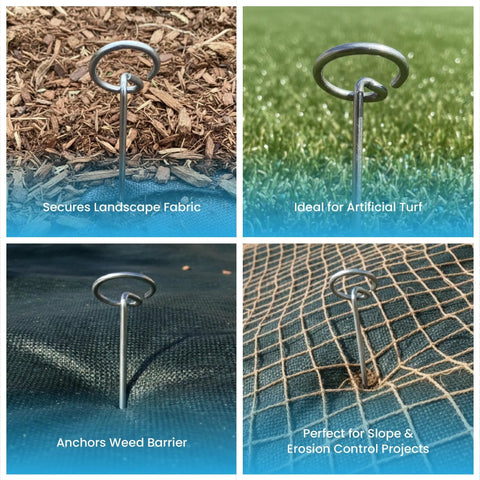 Heavy Duty 11 Gauge 6 Inch Galvanized Steel Landscape Pins With Round Top For Landscape Fabric And Weed Barrier 100 Pack shown in garden