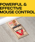 Top Tier Reusable Wooden Snap Mouse Traps 12 Pack Heavy Duty Rodent Control For Indoor Spaces That Catches Mice Quick And Saves Your Pad From Nightly Rats With Absolutely Zero Drama on wooden floor.