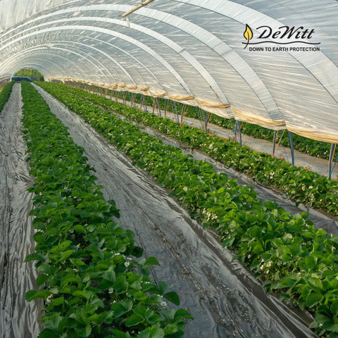 Rows of plants under clear greenhouse with DeWitt logo, using Workhorse Heavy-Duty 3 Oz Weed Control Fabric Ground Cover for Gardens.
