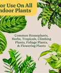 Start Your Indoor Plant Glow Up For Top Shelf Potting Mix For All Houseplants Keeping Roots Thriving For Up To Six Months With Peat Moss Coconut Coir And Perlite
