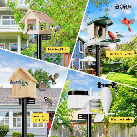 Outdoor Bird Feeder Pole Mounting Kit With A 1 Inch Thick Pole Universal Brackets For Camera Feeders And Birdhouses Bluebird House Mounting Setup For Backyard Bird Watching And Easy Outdoor Install