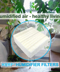 2 Pack Wick Filter Replacement For Essick Air AIRCARE Bemis 1043 on table with plants in bedroom