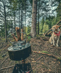 One Liter Lightweight Stainless Steel Camping Kettle Built Tough For Bushcraft And Outdoor Campfire Use in forest setting