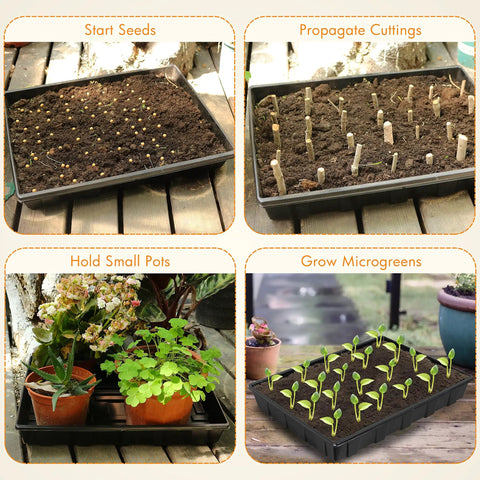 10 Pack Seed Trays For Seed Starting And Microgreens Reusable Plastic Plant Trays With No Drain Holes Ideal For Indoor Gardening