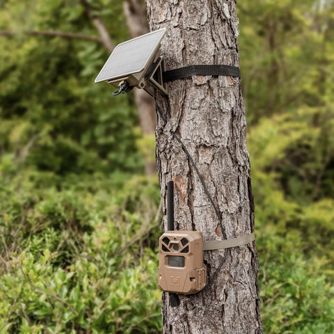 Two Pack High Output Solar Charge Kit For Edge Series Trail Cameras mounted on a tree, providing efficient energy for wildlife tracking.
