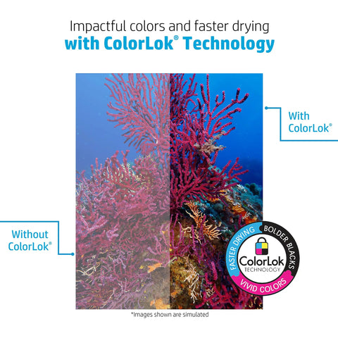 Comparison of coral images showing differences with and without ColorLok® Technology for vibrant colors.