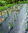 Heavy Duty Weed Barrier Landscape Fabric 6Ft Wide By 50Ft Long, 3.2oz Polypropylene Geotextile Ground Cover in garden.