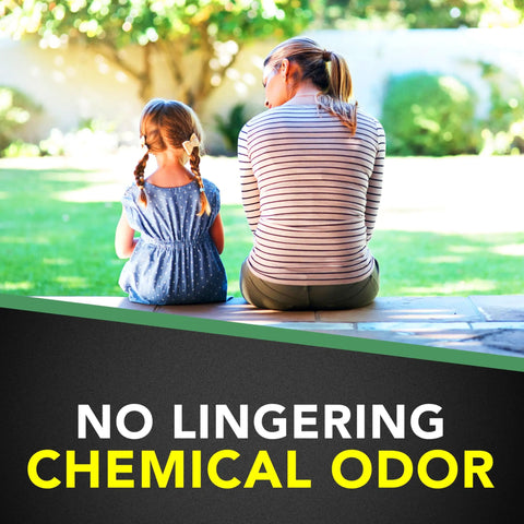 Back view of woman and child sitting on porch with text 'No Lingering Chemical Odor'. House And Garden Insect Killer Spray That Kills Ants Roaches And Spiders Indoor And Outdoor Use Won't Harm Plants 11 Ounce Bottle For Quick Bug Busting At Home And In The Garden.
