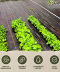 Heavy Duty Weed Barrier Fabric 3.2 Oz 6 X 300 Feet Roll for Greenhouse Floors installed in garden with crops.