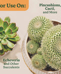 Top Shelf Indoor Potting Mix For Cactus And Succulents Featuring Sweet Roots Development With Rapid Drainage Sand Perlite And Peat Moss Formula Plus Loaded Plant Food For Ace Houseplants In 8 Quart Packs, Echeveria and cacti in decorative pots.