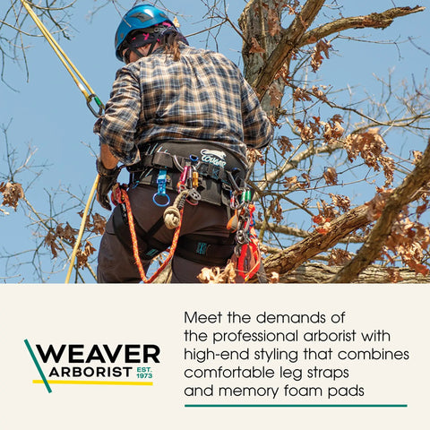 Arborist wearing Pro Tree Saddle Harness with Memory Foam Back Support and Leg Straps for climbing stability