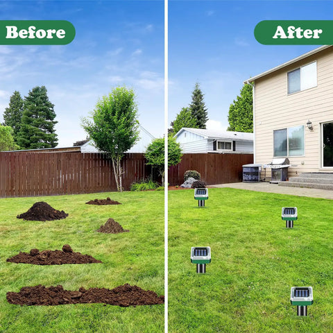 Before and after using solar powered ground vibrating pest repellent for gardens lawns yards farms and orchards keeps rats snakes rabbits hedgehogs outta your lawn with ultrasonic burrow deterrence every 30 seconds