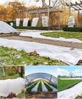 White row covers used in gardens for frost protection during fall season