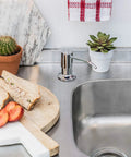 Built In Kitchen Soap Dispenser for Sink in Stainless Steel with Brushed Nickel Finish beside a sink with plants.