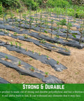 Heavy Duty 4 Mil Black Plastic Sheeting Weed Barrier For Outdoor Gardens Nonwoven Weed Blocker Fabric Soil Warmer And Moisture Keeper 3 Ft By 100 Ft Roll Weed Control installed in garden.